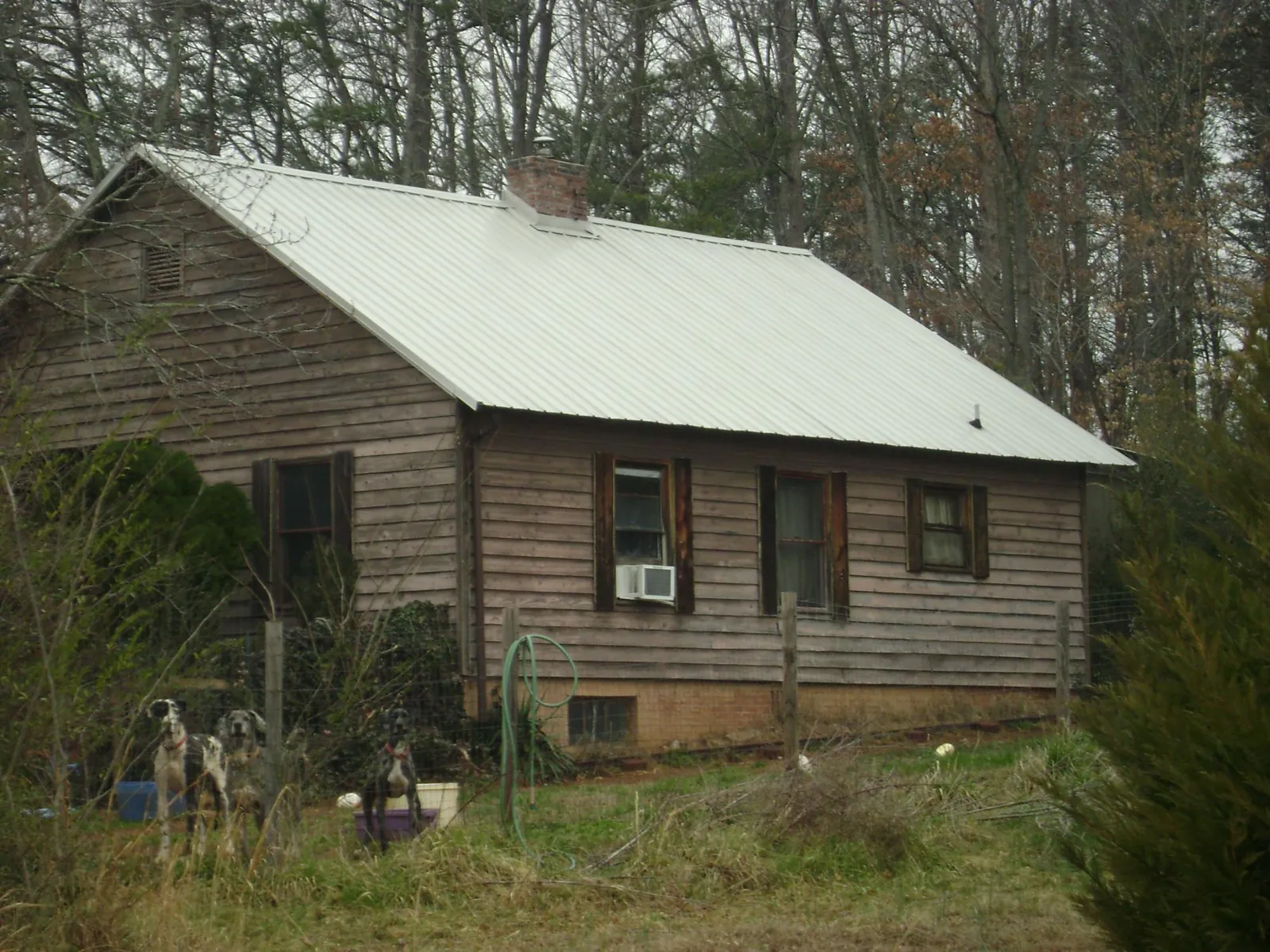 White metal roof on an old wood sided farmhouse, from a Asphalt Shingle Roof Repair job in Woodburn
